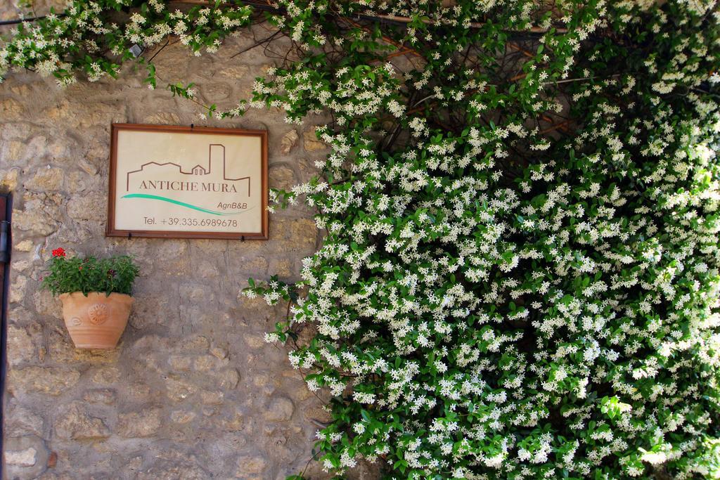 B&B Antiche Mura Tarquinia Exteriör bild