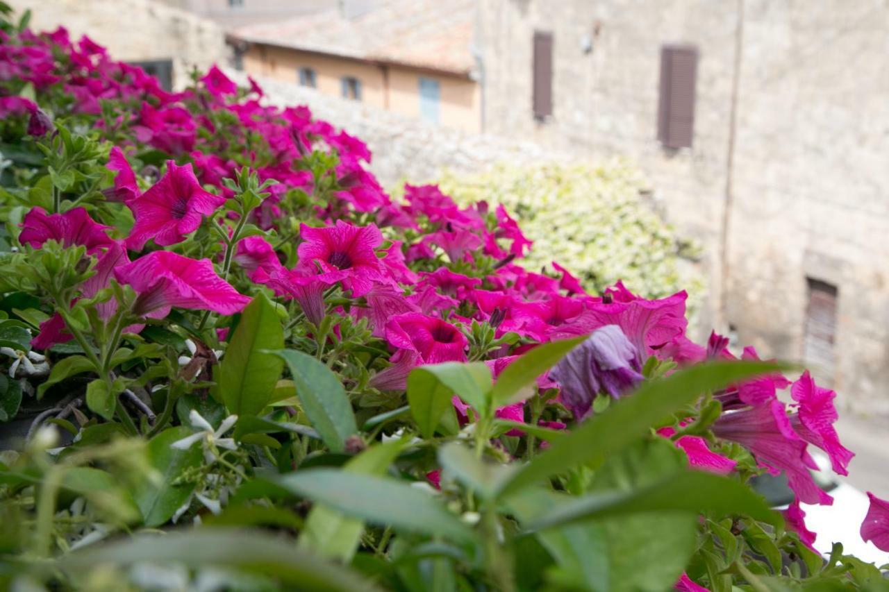 B&B Antiche Mura Tarquinia Exteriör bild